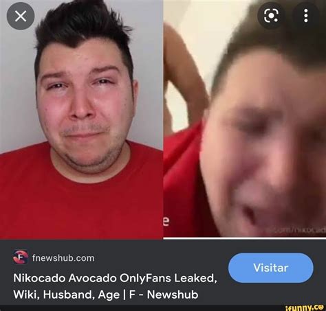 nicocado porn|Nikocadoavocado